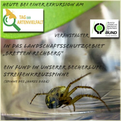 Tag der Artenvielfalt