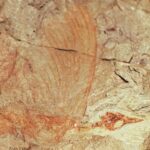 Mirasaura grauvogeli